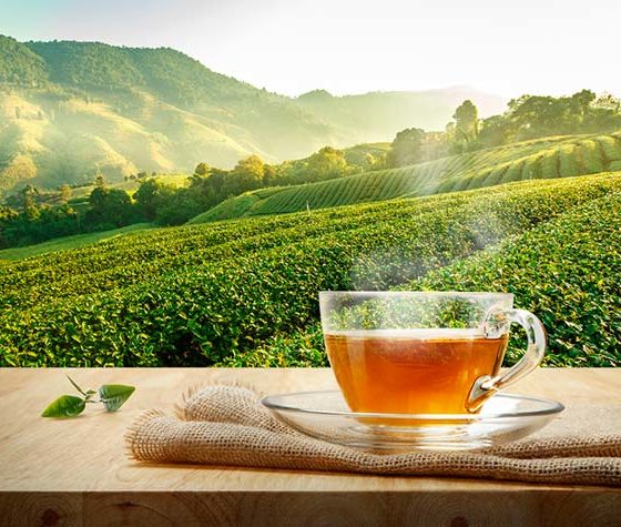 Mitos del té